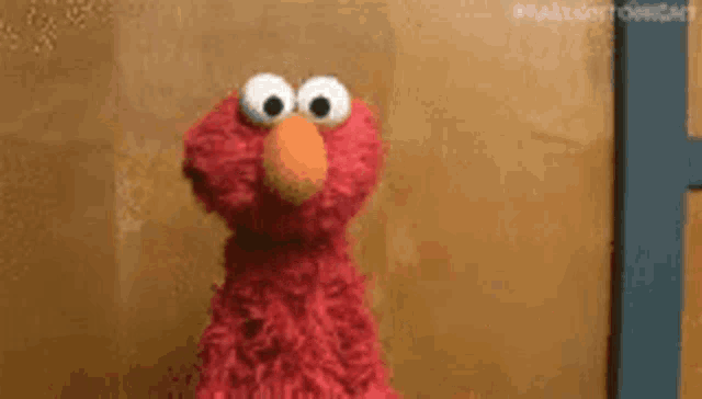 elmo from sesame street is standing in front of a brown wall .