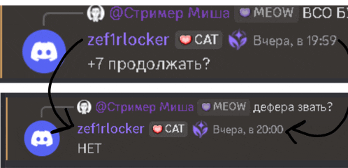 a screenshot of a discord conversation with zef1rlocker and cat