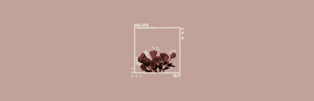 a bunch of red roses in a square on a pink background