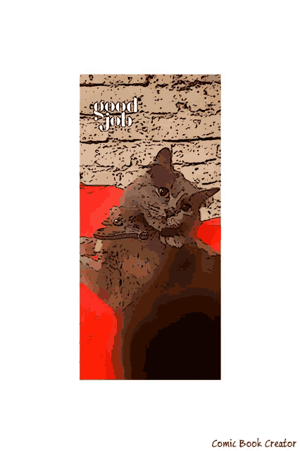 a comic book creator page with a cat and the words good job on it