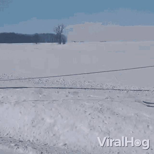 Skiing Viralhog GIF - Skiing Viralhog Ski GIFs