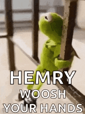 kermit the frog is sitting on a railing holding onto a railing and saying `` hemry woosh your hands '' .