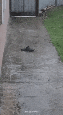 a shoe is laying on the sidewalk next to a building .