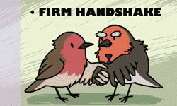 Jobinterview Cartoon GIF - Jobinterview Cartoon Bird GIFs