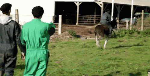 Laink Tombe GIF - Laink Tombe Ferme GIFs