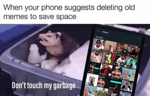 a meme that says when your phone suggests deleting old memes to save space