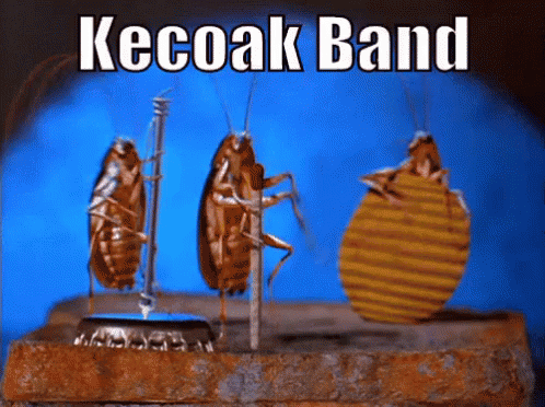 Kecoak GIF - Cockroach Band Playing GIFs