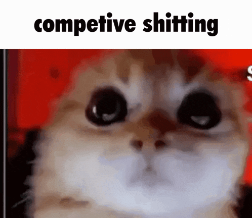 a close up of a cat 's face with the words `` competitive shitting '' written on it .