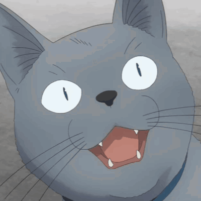 Cat Shocked GIF - Cat Shocked Scared GIFs