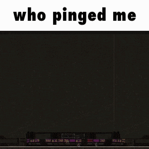 a black screen with the words who pinged me on top