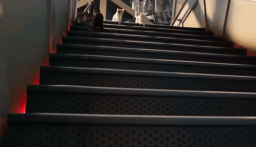 a staircase with a red light on the bottom of the stairs