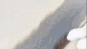 a close up of a woman 's face with a blurry background of a street .