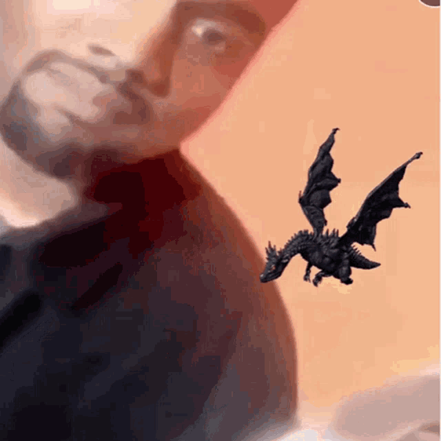 a man with a beard is looking at a small black dragon