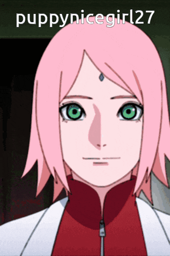a girl with pink hair and green eyes has the name puppynicegirl27
