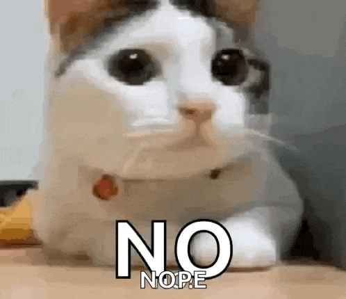 a cat with a collar is laying on a person 's lap and says no nope .