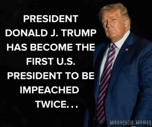 Impeached Twice 2021impeachment GIF - Impeached Twice 2021impeachment 2021trump Impeached GIFs