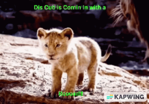 Lion Cub Is Coming In GIF - Lion Cub Is Coming In GIFs