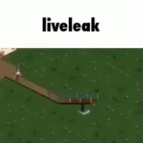 Liveleak GIF - Liveleak GIFs