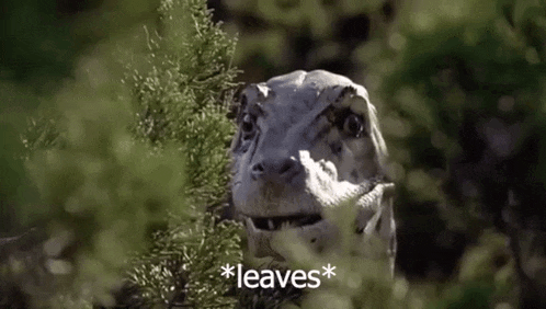 a dinosaur is eating leaves from a tree and looking at the camera .