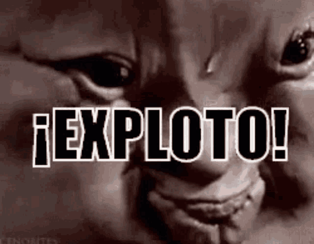 a close up of a person 's face with the words " exploto " written on it .