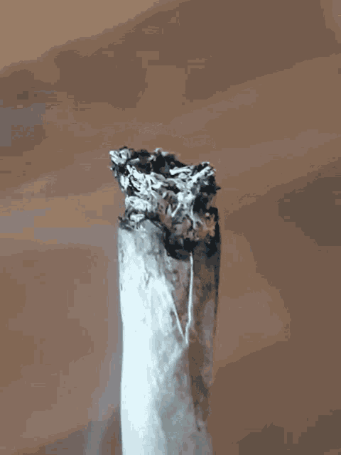 Smoke Weed GIF - Smoke Weed Joint GIFs