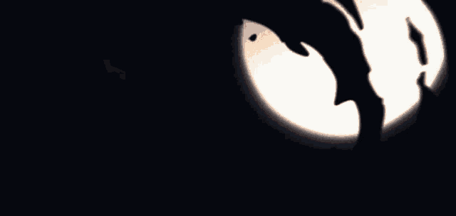 a circle of fire is surrounded by a dark background