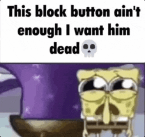 spongebob squarepants is crying and says `` this block button ain t enough i want him dead '' .