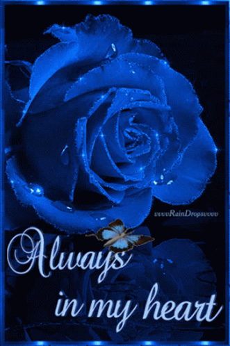 Always In My Heart Rose GIF - Always In My Heart Rose Butterfly GIFs