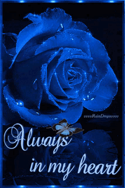 a blue rose with the words always in my heart on the bottom