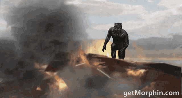 a picture of a black panther with the website getmorphin.com