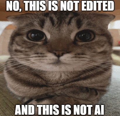 a cat with its arms crossed and a caption that says " no this is not edited and this is not ai "