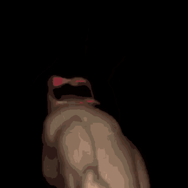 a shirtless man wearing a red bandana on his head is standing in front of a black background .