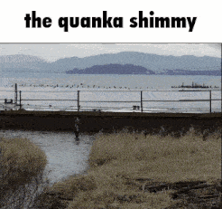 a picture of a river with the words the quanka shimmy