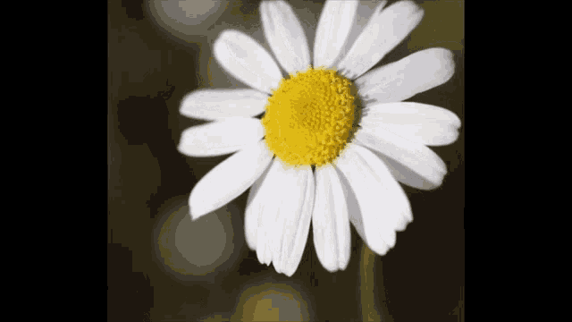 Uplifting Inspire GIF - Uplifting Inspire Fear GIFs