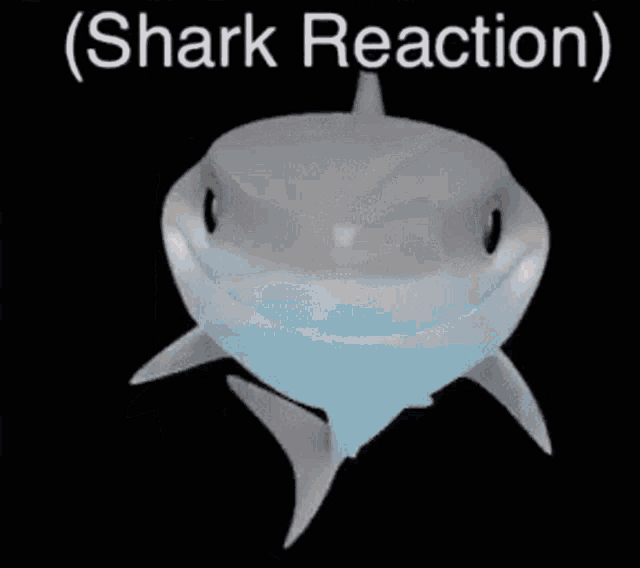 Shark Shark Reaction GIF - Shark Shark Reaction Poggers GIFs