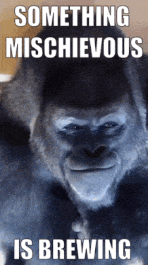 a picture of a gorilla with the words something mischievous is brewing above it
