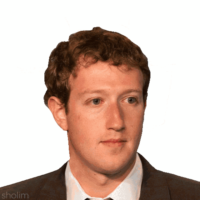 Zuckerberg Mark Zuckerberg GIF - Zuckerberg Mark Zuckerberg Robot GIFs