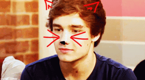 a young man with a cat nose and ears drawn on his face .