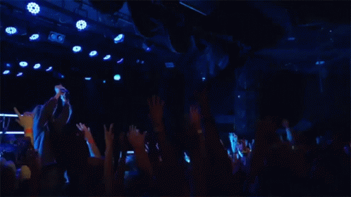 Hands In The Air Clapping GIF - Hands In The Air Clapping Hype GIFs