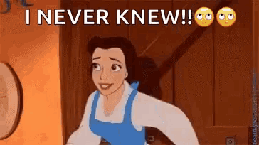 a cartoon of belle from beauty and the beast says `` i never knew '' .