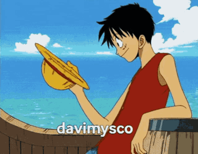 monkey d luffy from one piece is holding a straw hat in his right hand