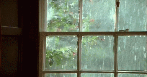 Corina Rain GIF - Corina Rain GIFs