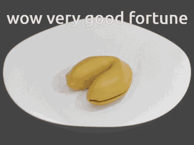 a picture of a cat with the words wow very good fortune