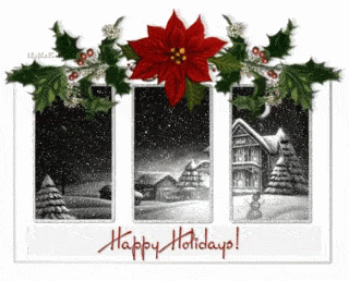 Happy Holidays Poinsettia GIF - Happy Holidays Poinsettia Snowing GIFs