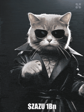 a cat wearing sunglasses and a trench coat says $razu 1bn
