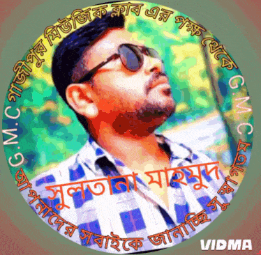 a man wearing sunglasses and a plaid shirt is in a circle with vidma written around him