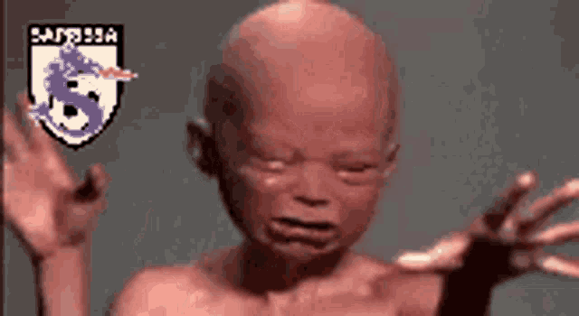 a baby is crying in front of a logo that says ' sarasota ' on it