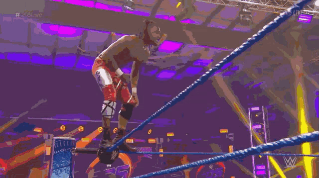 a pixelated image of a wrestling match with the words 205 live at the bottom
