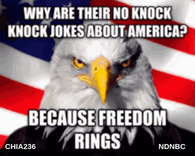 a bald eagle with the caption why are their no knock jokes about america because freedom rings