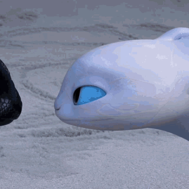 a toothless from how to train your dragon looks at the camera